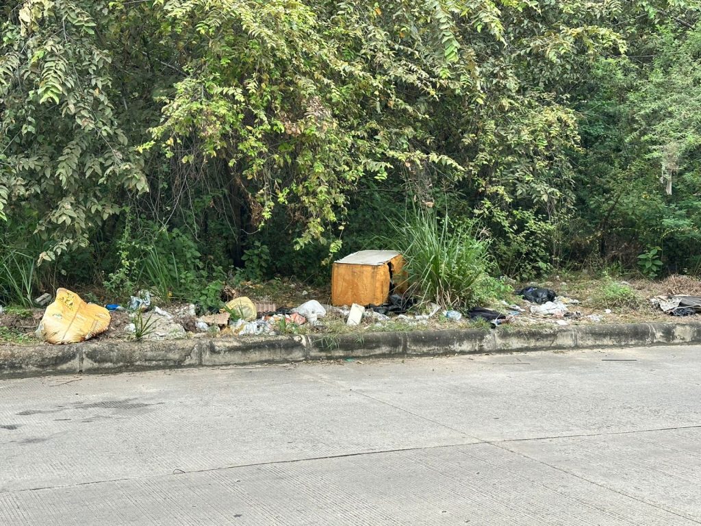 jardin-botanico2-1024x768 Praderas del Viento alza la voz: inseguridad, falta de alumbrado, basuras y abandono animal afectan a la comunidad